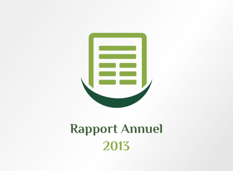 التقرير السنوي 2013